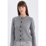 Defacto Regular Fit Triko Hırka, Xl, E3654AX25SP, Gri, Kadın