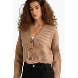 DeFacto Regular Fit V Yaka Triko Hırka, M, R1389AZ25WN, Bej-BG646, Kadın