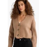 DeFacto Regular Fit V Yaka Triko Hırka, XL, R1389AZ25WN, Bej-BG646, Kadın