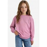 Defacto Relax Fit Bisiklet Yaka Basic Düz Okul Sweatshirt Kız Çocuk, 5/6 Yaş (116cm), A2797A825AU, Pembe, kız-çocuk