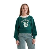 DeFacto Relax Fit Bisiklet Yaka Baskılı İçi Yumuşak Tüylü Sweatshirt Kız Çocuk, 7-8 Yaş, D7042A824WN, Yeşil-GN1116, kız-çocuk