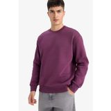 DeFacto Relax Fit Bisiklet Yaka Kalın İçi Yumuşak Tüylü Basic Düz Sweatshirt, L, T5139AZ25AU, Mor-PR79, erkek