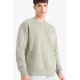 DeFacto Relax Fit Bisiklet Yaka Kalın İçi Yumuşak Tüylü Basic Düz Sweatshirt, M, T5139AZ25AU, Yeşil-GN846, erkek