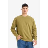 DeFacto Relax Fit Bisiklet Yaka Kalın İçi Yumuşak Tüylü Basic Düz Sweatshirt, S, T5139AZ25AU, Haki-KH256, erkek