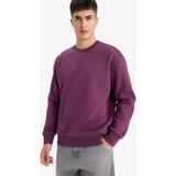 DeFacto Relax Fit Bisiklet Yaka Kalın İçi Yumuşak Tüylü Basic Düz Sweatshirt T5139AZ25AU - Mor-PR79