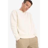 DeFacto Relax Fit Bisiklet Yaka Kalın İçi Yumuşak Tüylü Basic Düz Sweatshirt, XS, T5139AZ25AU, Ekru-ER140, erkek