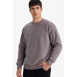 DeFacto Relax Fit Bisiklet Yaka Polar Sweatshirt, 2XL, F3685AX25WN, Gri-GR308, erkek