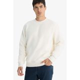 DeFacto Relax Fit Bisiklet Yaka Polar Sweatshirt, L, F3685AX25WN, Ekru-ER140, erkek