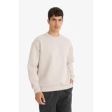 DeFacto Relax Fit Bisiklet Yaka Sweatshirt, 2XL, E9536AX25AU, Bej-BG766, erkek