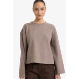 DeFacto Relax Fit Bisiklet Yaka Uzun Kollu Tişört, XL, G7716AX25WN, Kahve-BN570, kadın