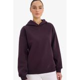 Defacto Relax Fit Kapüşonlu Basic Düz Kalın Sweatshirt D9935ax25wnpr38 Mor-pr38
