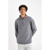 Defacto Relax Fit Kapüşonlu Baskılı Sweatshirt, M, Y9652AZ24AU, Gri, Erkek