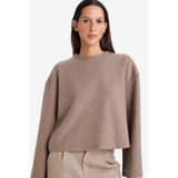 DeFacto Relax Fit Tişört Kahve, L, G8778AX25WN, Kahve-BN570, Kadın