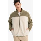 DeFacto Relax Fit Yarım Balıkçı Yaka Fermuarlı Polar Hırka F0449AX25AU - Haki-KH401 - Dropsuz - XS