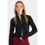 DeFacto Slim Fit Yarım Balıkçı Yaka Triko Hırka, L, A5607AX24WN, Antrasit-AR61, Kadın