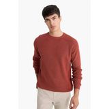 DeFacto Standart Fit Bisiklet Yaka Kazak, L, A8458AX25WN, Turuncu, Erkek