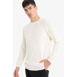 DeFacto Standart Fit Bisiklet Yaka Triko Kazak, XXL, A8458AX25WN, Ekru, Erkek