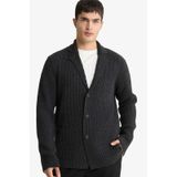 Defacto Standart Fit Ceket Yaka Triko Hırka F3679ax25wnar189 Antrasit