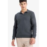 Defacto Standart Fit Polo Yaka Triko Kazak, Xl, D4046AX25WN, Antrasit, Erkek