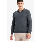 Defacto Standart Fit Polo Yaka Triko Kazak, Xxl, D4046AX25WN, Antrasit, Erkek