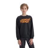 Defacto Stranger Things Bisiklet Yaka Sweatshirt Erkek Çocuk, 8-9 Yaş, D4791A824WN, Antrasit-AR208, erkek-çocuk, 8/9 Yaş (134cm)