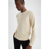 DeFacto W9352AZ22SP Modern Fit Bisiklet Yaka Uzun Kollu Sweatshirt