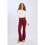 DeFacto Wide Leg Geniş Paça Beli Lastikli Uzun Boy Pantolon, L, E4387AX24WN, Bordo-BR248, Kadın