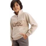 Defacto Yarım Fermuarlı Baskılı Polar Sweatshirt Erkek Çocuk, 12-13 Yaş, G4944A825AU, Bej-BG117, erkek-çocuk, 12/13 Yaş (158cm)