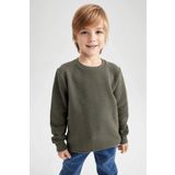 DeFacto Z2511A623SP Haki Erkek Çocuk Sweatshirt