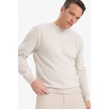 DeFacto%100 Pamuk Basic Sweatshirt, 2XL, E8339AX25AU, Bej-BG766, Erkek, XXL