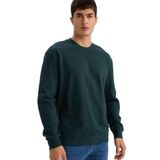DeFacto%100 Pamuk Basic Sweatshirt, M, E8339AX26SP, Yeşil-GN1255, erkek