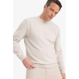 DeFacto%100 Pamuk Basic Sweatshirt, S, E8339AX25AU, Bej-BG766, erkek
