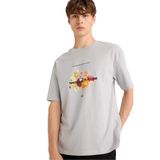 DeFacto%100 Pamuk Boxy Fit Bisiklet Yaka Baskılı Kısa Kollu Tişört, S, F8567AX25HS, Gri-GR130, Erkek