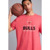 DeFacto%100 Pamuk NBA Chıcago Bulls Standart Fıt Bisiklet Yaka Kısa Kollu Tişört