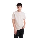 DeFacto%100 Pamuk Regular Fit Bisiklet Yaka Baskılı Kısa Kollu Tişört, S, D5559AX25SP, Bej-BG802, Erkek