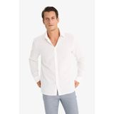 DeFacto%100 Pamuk Regular Fit İnce Polo Yaka Uzun Kollu Gömlek, 3XL, D7394AX25SP, Ekru, Erkek