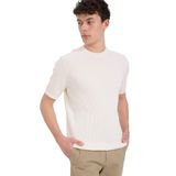 DeFacto%100 Pamuk Standart Fit Bisiklet Yaka Kısa Kollu Triko Tişört, L, E5765AX25SM, Ekru-ER100, Erkek