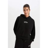 DeFactoFit NBA Miami Heat Kapüşonlu Kalın Kumaş Sweatshirt