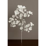 DEFNE DECOR Yapay Çiçek Dağ Gelinciği Tek Dal 90 cm Beyaz