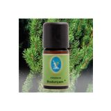 Defne Essencia 5 ml Bodur Çam Yağı