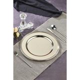 Defne Metal Supla Tabak 33 cm - Premıum Metal Supla Tabak-Platin