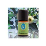 Defne Nuka Essencia 10 ml Okaliptus Radiata Uçucu Yağ