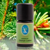 Defne Nuka Essencia 10 ml Sibirya Ladini Yağı