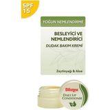 Defne Store Daily Lip Conditioner Besleyici ve Nemlendirici Dudak Bakım Kremi