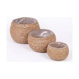Defne Store Deconox 3'lü 21X16 cm 18X13 cm 15X11 cm Yuvarlak Sığ Tombul Hasır Saksılık Seti, Doğal Görünümlü Iç Koruma Poşetli Dekoratif Saksı, Büyük Orta Küçük - Standart - Çok Renkli