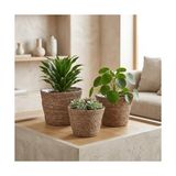 Defne Store Deconox 3'lü 25X18 cm 22X15 cm 20X13 cm Yuvarlak Hasır Saksı Seti, El Yapımı Doğal Dokulu Iç Astarlı Dekoratif Saksı, Büyük Orta Küçük, Geri Dönüşüme Uygun Hasır Set - Standart - Çok Renkli