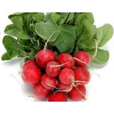 Defne Store Doğal Cherry Turp Tohumu - Standart - Çok Renkli