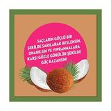 Defne Store Doğanın Enerjisi Saç Bakım Şampuanı Hindistan Cevizi Yağı Onarıcı & Yıpranma Karşıtı 400 ml (4 Paketi) - Option-1