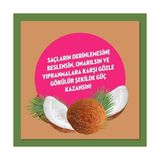 Defne Store Doğanın Enerjisi Saç Bakım Şampuanı Hindistan Cevizi Yağı Onarıcı & Yıpranma Karşıtı 400 ml - Option-1