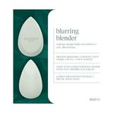 Defne Store Ecotools Blend + Blur Makyaj Fırçası ve Sünger Duo, Makyaj Sünger ve Fondöten Fırçası, Sıvı ve Krem Makyaj, Bulut Cildi, Çevre Dostu, Lateks Içermez, Zulüm Içermez, & Vegan, 2 Adet - Option-1